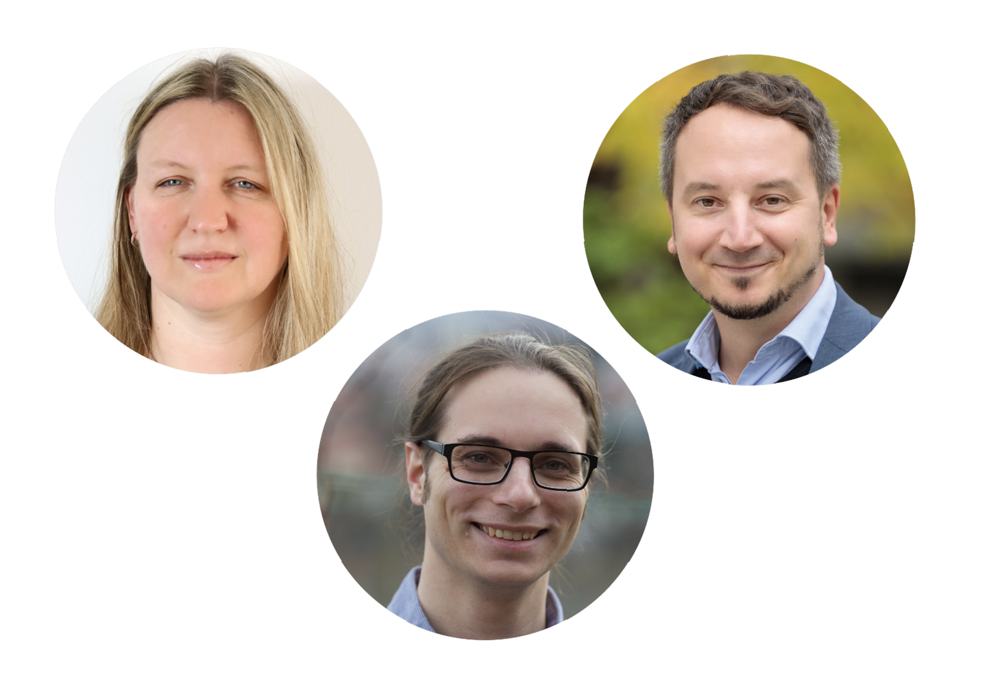 Disentangling effects of digitization on linguistic diversity