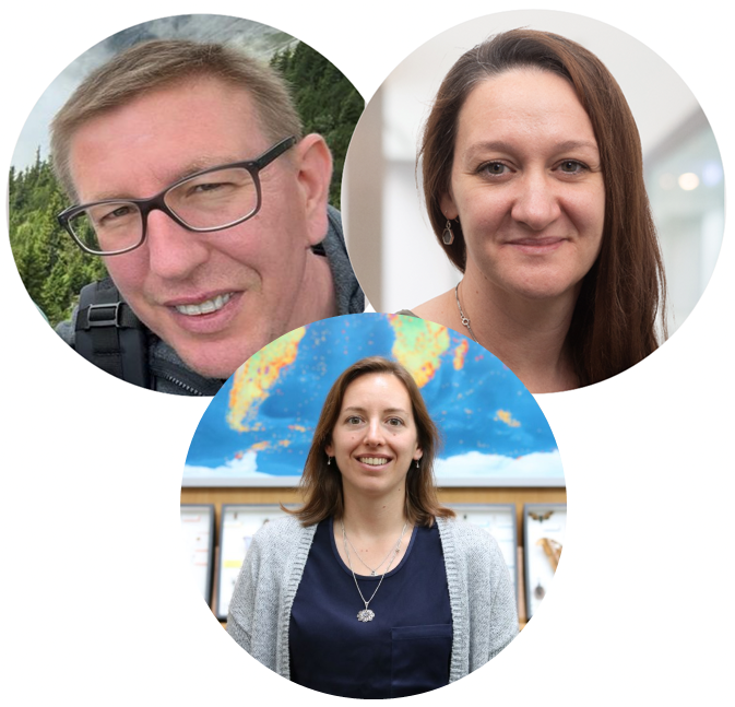 City-invading mosquitoes of medical importance: habitat preferences and...